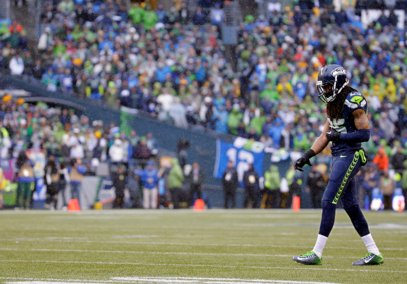 Illustration for article titled Just What The Hell Was That? The 2015 NFC Championship In Photos